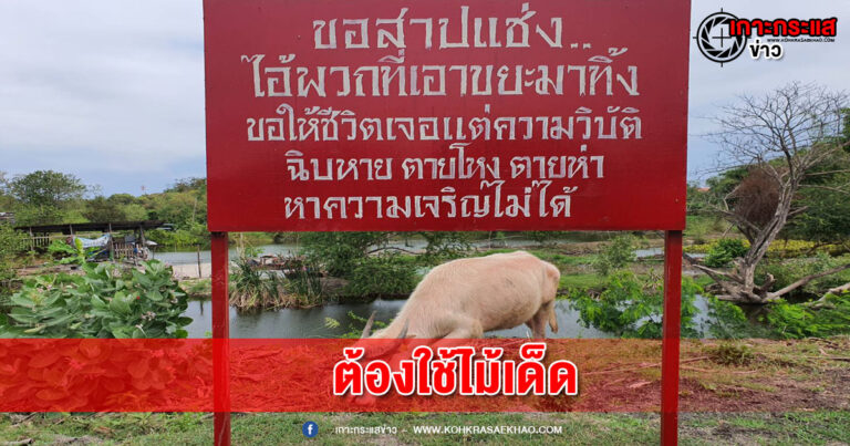 ลพบุรี-คนมักง่ายนำขยะทิ้งที่ริมถนนนานหลายปี เตือนก็ไม่ฟัง  อบต.ป่าตาลใช้ไม้เด็ด ขึ้นป้ายสาปแช่ง ได้ผลเกินคาด