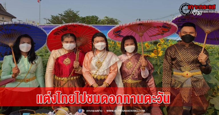 ลพบุรี -แต่งไทยชมทุ่งทานตะวันบานในช่วงเทศกาลวันแห่งความรัก