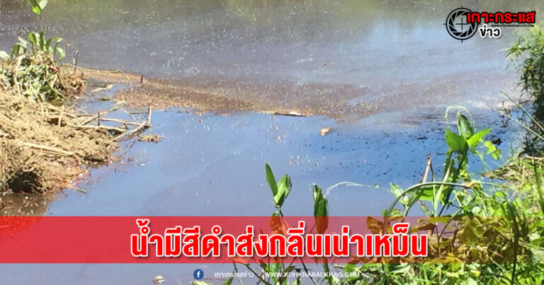 พังงา-ชาวบ้านร้องศูนย์ดำรงธรรมอำเภอตะกั่วป่า ตรวจสอบเจ้าของที่ดินรายหนึ่งนำรถแม็คโคขุดปิดทางน้ำสาธารณะจนทำให้น้ำส่งกลิ่นเน่าเหม็นมีสีดำ