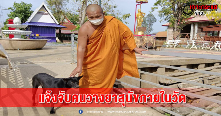 ปทุมธานี-เจ้าอาวาสสุดทนเข้าแจ้งความหลังมีคนวางยาสุนัขภายในวัด