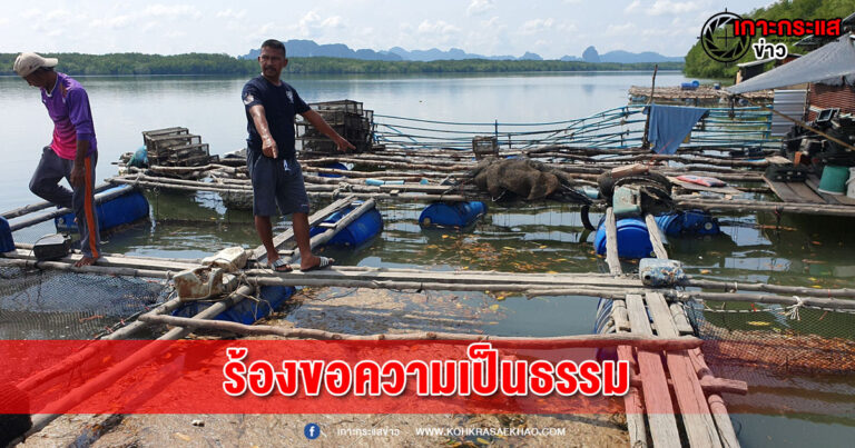 พังงา​-เจ้าของกระชังปลาร้องสื่อ หลังชุดจับกุมยาเสพติดรื้อกระชังทำกุ้งมังกร ปูดำและนกกรงหัวจุกหาย