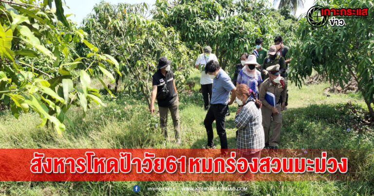 สุพรรณบุรี-ฆาตกรโหดสังหารป้าวัย61ป่วยจิตเวช ทิ้งร่องสวนมะม่วง