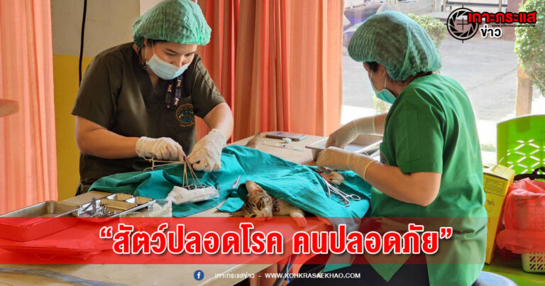 ลพบุรี-เทศบาลเขาสามยอดร่วมกับปศุสัตว์เดินหน้าโครงการ สัตว์ปลอดโรค คนปลอดภัย