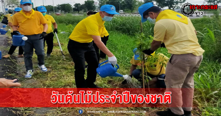 จิตอาสาอำเภอพระนครศรีอยุธยา พร้อมใจกันทำความสะอาด และ ปลูกต้นไม้เนื่องในวันต้นไม้ประจำปีของชาติ 2565