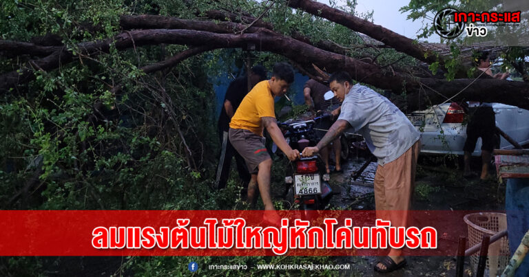 สมุทรปราการ-ฝนกระหน่ำลมกรรโชกแรงต้นไม้ใหญ่อายุกว่า 50 ปี หักโค่นลงมาทับบ้านประชาชน