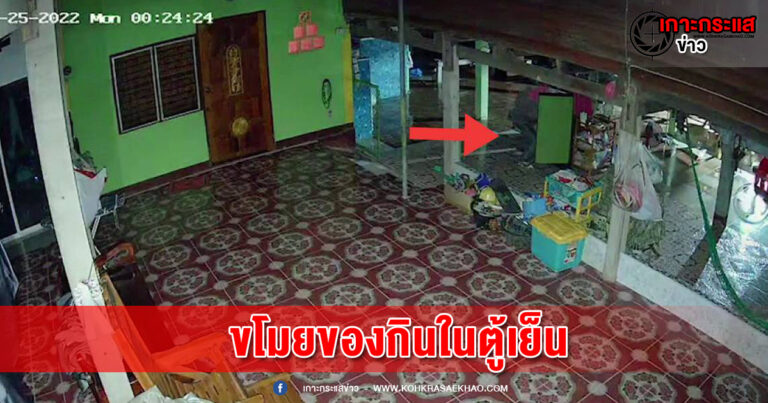 อ่างทอง-วงจรปิดจับภาพโจรขโมยของกินภายในตู้เย็น