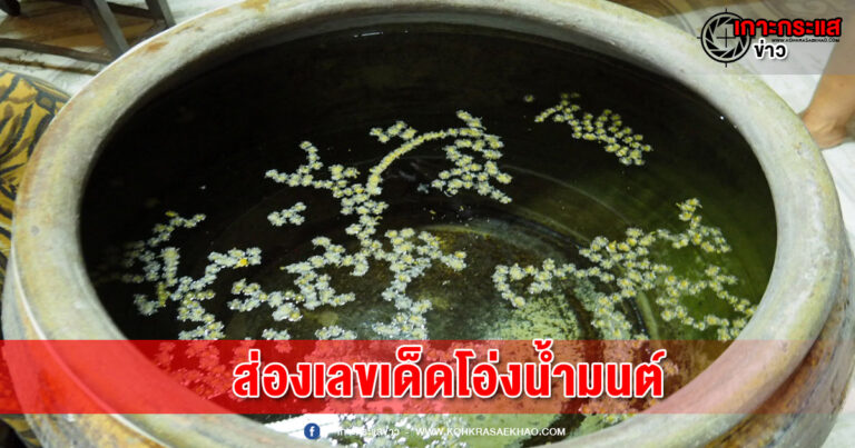 สุพรรณบุรี-ฮือฮาควายเผือกสามตา  ส่องเลขเด็ดโอ่งน้ำมนต์สำนักแม่ผีเสื้อสมุทร