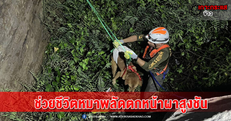 ลพบุรี -สุนัขพลัดตกหน้าผาสูงชันกลางดึกกู้ภัยเร่งช่วยเหลือทุลักทุเล