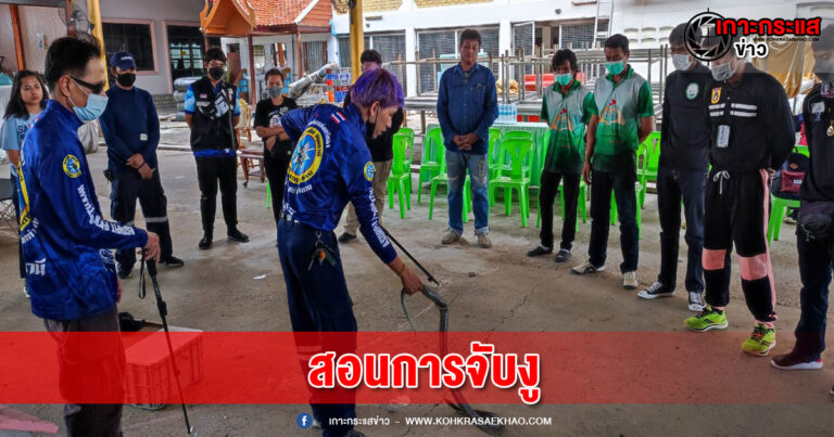 ปทุมธานี-ทีมอสรพิษจัดอบรมจับงูลดการทำลายชีวิต