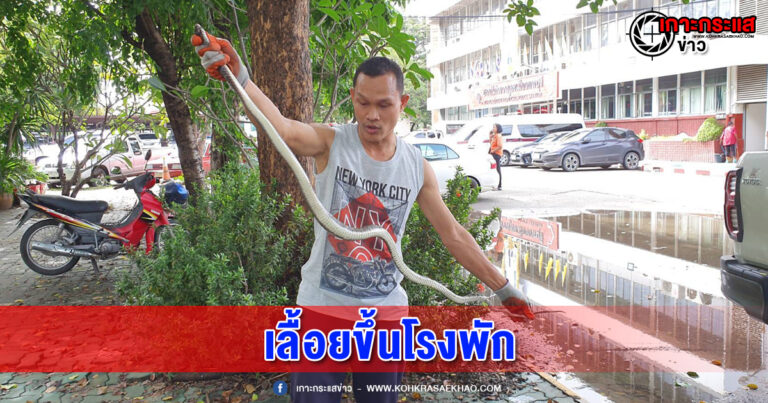 ลพบุรี-ทั้งตำรวจ และชาวบ้าน แตกกระเจิง งูตัวเขื่องเลื้อยขึ้นบนโรงพัก