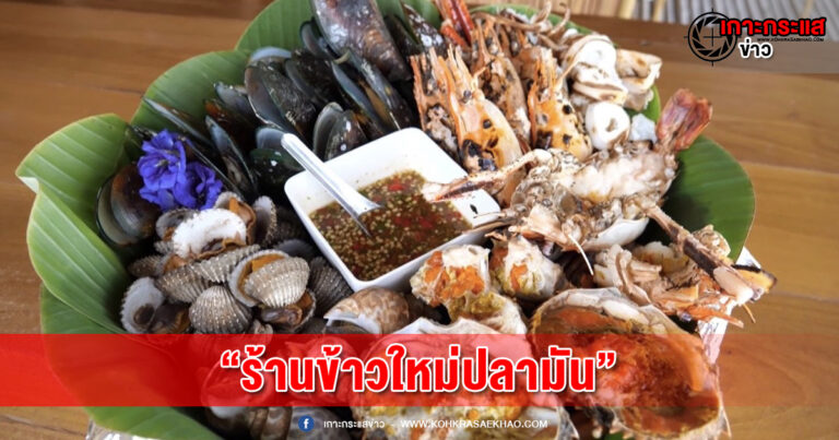 สมุทรสงคราม-ร้านข้าวใหม่ปลามัน อาหารอร่อยล้นโต๊ะสไตล์บ้านนาริมป่าชายเลน