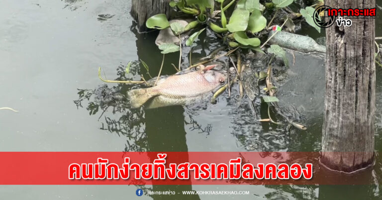 นนทบุรี-ชาวบ้านโวย คนมักง่ายทิ้งสารเคมีลงคลอง ทำให้น้ำเน่า ปลาตายเกลื่อน