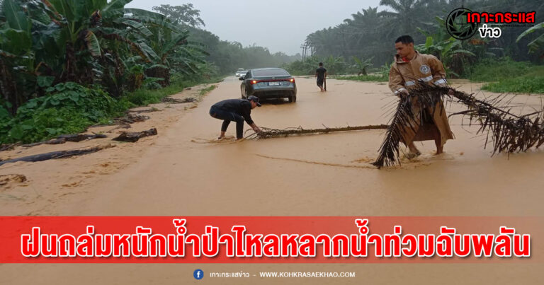 พังงา-ฝนตกหนักต่อเนื่อง น้ำป่าไหลหลาก น้ำท่วมฉับพลัน ดินสไลด์ หลายพื้นที่