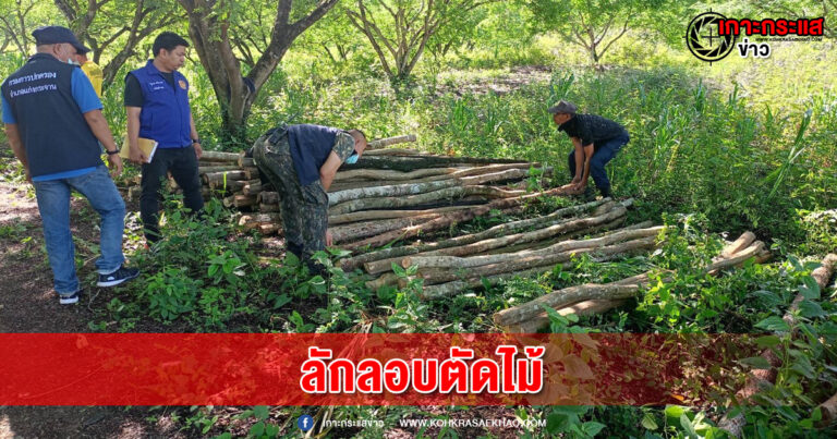 เพชรบุรี-ป่าไม้ร่วมกับฝ่ายปกครอง ตรวจยึดไม้กว่า400ท่อน ที่ถูกลักลอบตัดในเขตป่าสงวนแห่งชาติ