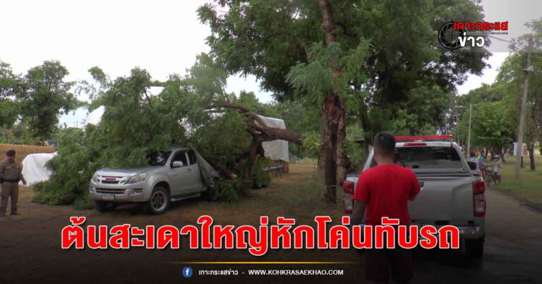 อ่างทอง-หวิดดับพายุฝนกระหน่ำลมกรรโชกแรงทำต้นสะเดาใหญ่หักโค่นทับรถกระบะและคนได้รับบาดเจ็บสาหัส หลังกำลังบรรทุกฟางอัดก้อนมาเก็บไว้ในบริเวณวัดชั่วคราว