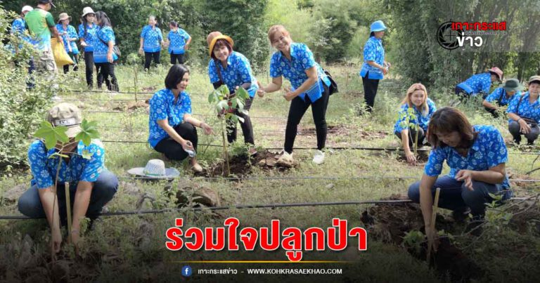 สุพรรณบุรี-พลังสตรีร่วมใจปลูกป่าเฉลิมพระเกียรติสมเด็จพระนางเจ้าสิริกิติ์ พระชนมพรรษา 91พรรษา