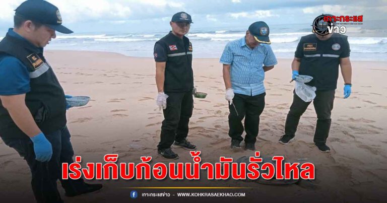 พังงา-ระดมพลเจ้าหน้าที่เก็บก้อนน้ำมันรั่วไหล เจอซากเต่าทะเลตายริมหาดคาดโดนสารเคมีจากน้ำมันซัดชายฝั่ง