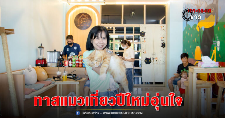 พิจิตร-คาเฟ่แมวรับฝากเลี้ยงดูแลเพื่อให้เจ้าของแมวเหมียวเที่ยวปีใหม่ได้อย่างสบายใจ