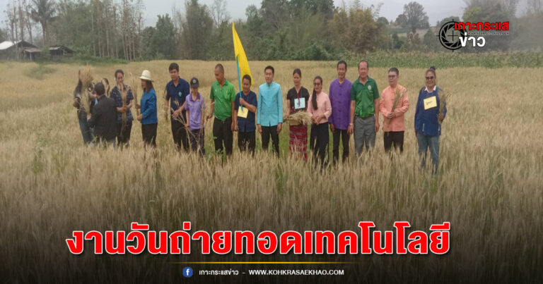 แม่ฮ่องสอน-เกษตรอำเภอปาย ร่วมกับ เกษตรจังหวัดแม่ฮ่องสอน จัดงานวันถ่ายทอดเทคโนโลยีเพื่อเริ่มต้นฤดูกาลผลิตใหม่ (Field Day) ปี 2567