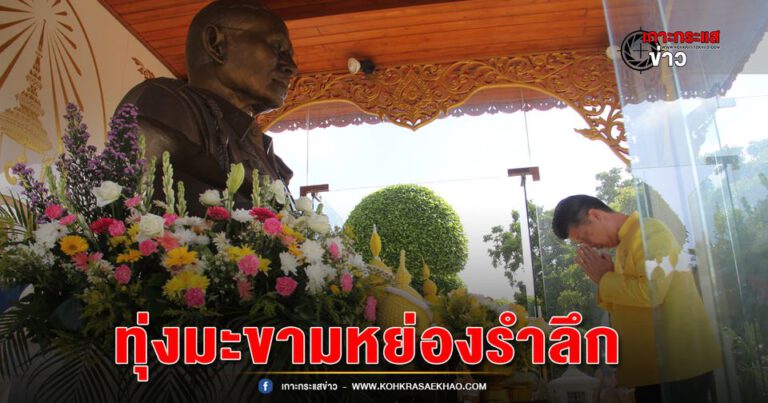 อยุธยา-จังหวัดพระนครศรีอยุธยา จัดงานน้อมรำลึกครบรอบ 12 ปี ในหลวงรัชกาลที่ 9 เสด็จพระราชดำเนินทุ่งมะขามหย่อง