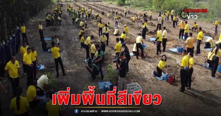 พิจิตร-เรือนจำพิจิตรจัดกิจกรรมเพิ่มพื้นที่สีเขียว เฉลิมพระเกียรติพระเกียรติพระบาทสมเด็จพระเจ้าอยู่หัว