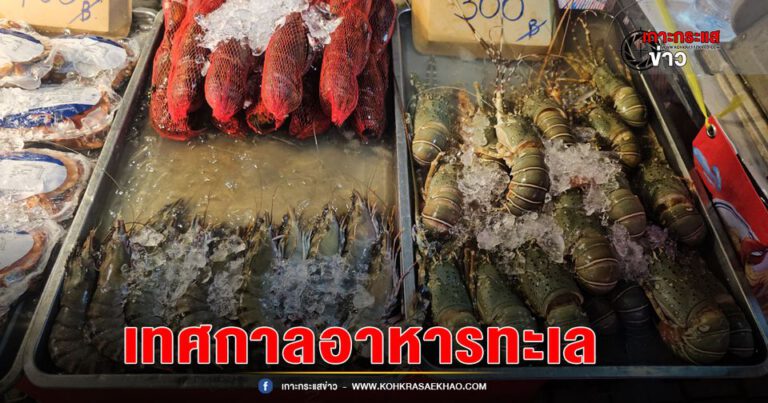 พังงา-เทศกาลอาหารทะเลและของดีจังหวัดพังงา “Phang Nga Seafood Festival 2024” จัดเต็มกิจกรรมความสนุก ณ หนองมูลตะกั่ว ทั้งอาหารทะเล เครื่องดื่ม ของดีพังงา