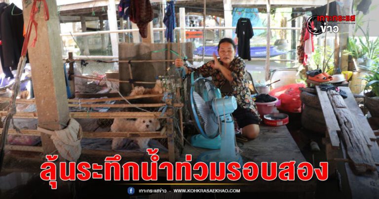 อ่างทอง-ชาวบ้านในพื้นที่ตำบลบางจักลุ้นระทึกน้ำท่วมรอบสองสูงขึ้นอย่างต่อเนื่องต้องเก็บสัตว์เลี้ยงไว้ในบ้าน