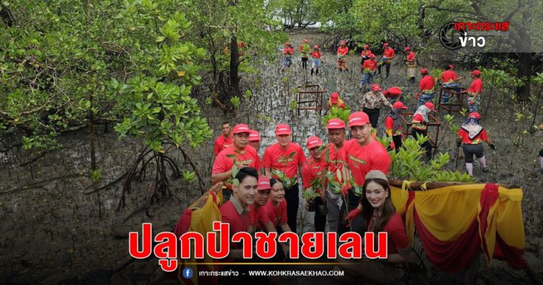 พังงา-เวียตเจ็ทไทยแลนด์ สานต่อโครงการ ‘Fly Green Metro Forest – Mangrove’ เพื่อเพิ่มพื้นที่สีเขียวสร้างความสมดุลให้กับระบบนิเวศ