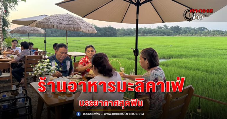 ปทุมธานี-มะลิคาเฟ่ ร้านอาหารเปิดใหม่ริมทุ่งนาพร้อมดนตรีสด ชมวิวสุดฟินใกล้กรุงเทพ