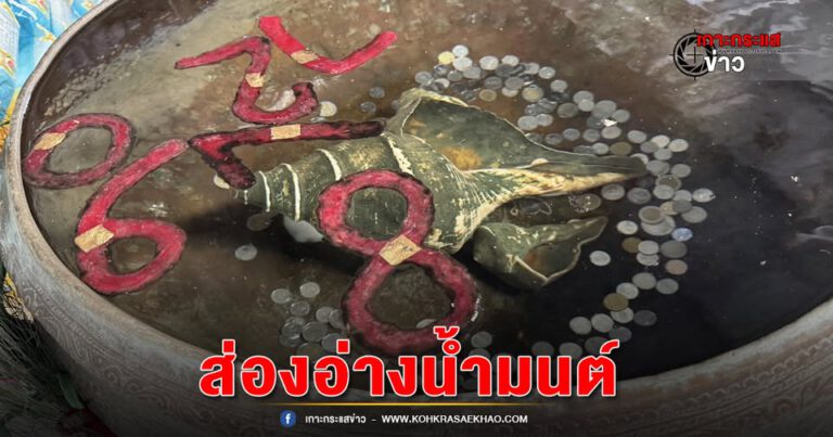 ปทุมธานี-ประชาชนแห่ส่องอ่างน้ำมนต์ขอพรเนื่องในวันมาฆบูชาที่อาศรมฤาษีเณร