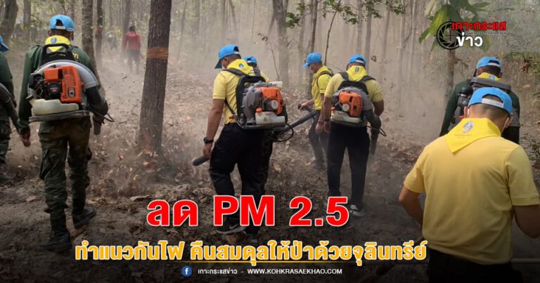 เชียงใหม่-GULF CMWTE  ผนึกกำลังชุมชนบ้านทุ่งยาว ดอยสะเก็ดฯ ลด PM 2.5 ทำแนวกันไฟ คืนสมดุลให้ป่าด้วยจุลินทรีย์